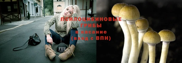 эйфоретик Арсеньев