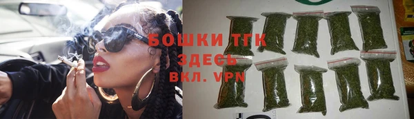 прущие грибы Аркадак