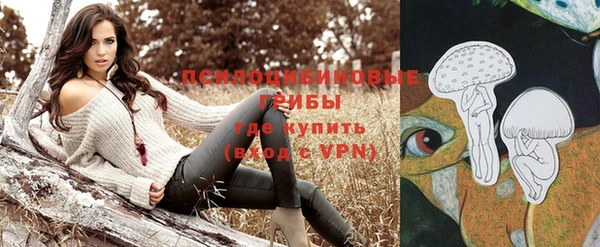 не бодяженный Армянск