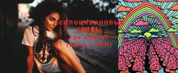 эйфоретик Арсеньев
