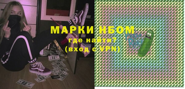 прущие грибы Аркадак