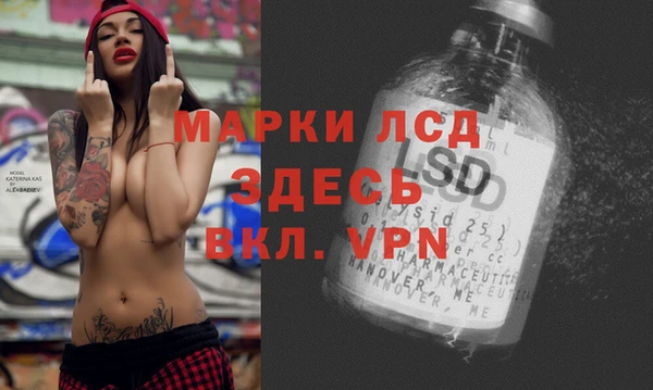 эйфоретик Арсеньев