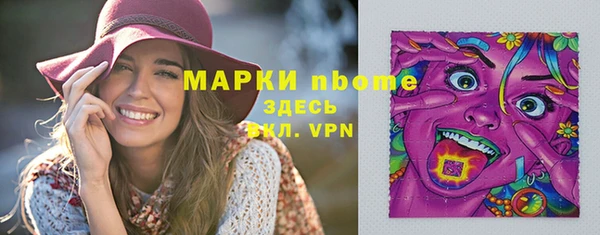 прущие грибы Аркадак