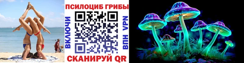 как найти закладки  Динская  Галлюциногенные грибы прущие грибы 