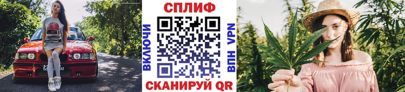 Бошки Шишки VHQ Динская